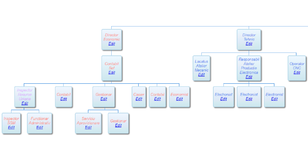 Organization diagram result